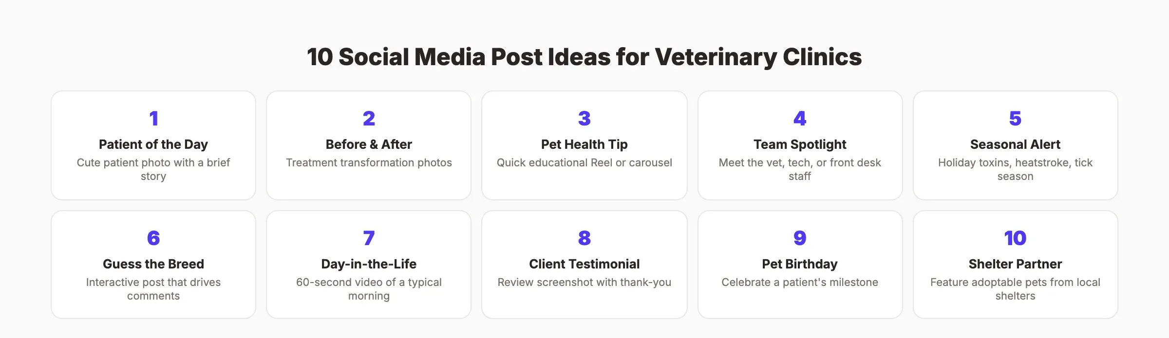 10 social media post ideas for veterinary clinics